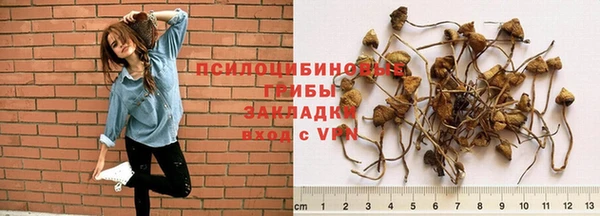 герыч Аркадак